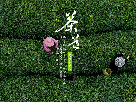 茶道茶叶网页设计