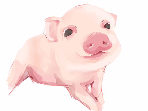 第一次使用数位板：猪