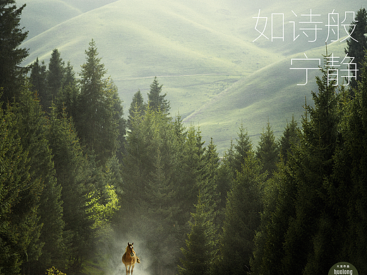 如诗般宁静