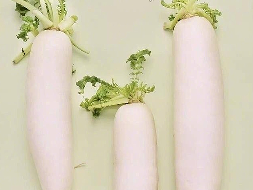 24节气小清新海报