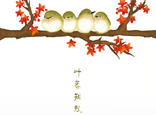 叶落知秋