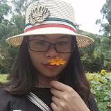 Z小英的头像