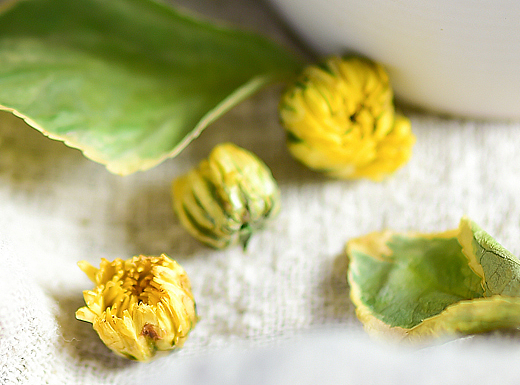 简品胎菊