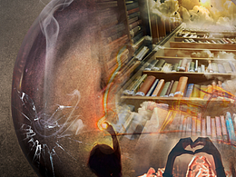 努力不一定什么都会，不努力什么也不会。