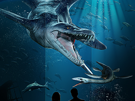 合成海报-海洋馆（纪念作品）