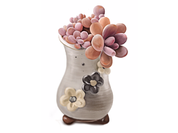 手繪練習(xí)多肉寫實