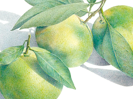 :heart_eyes::heart_eyes: