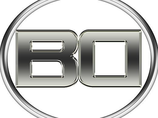 BORDRIN博郡logo设计