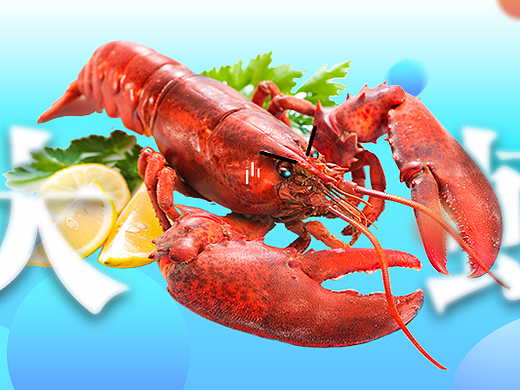 大虾banner