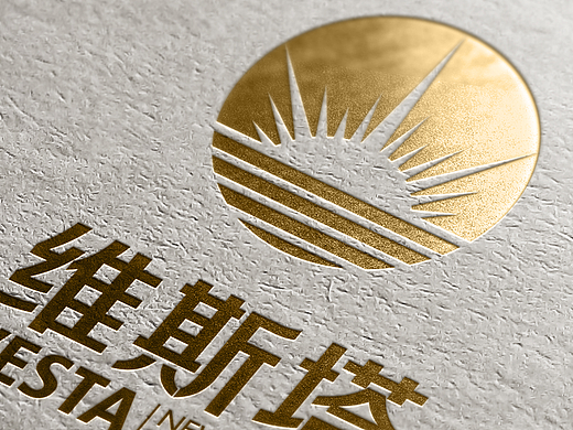 维斯塔-新能源科技公司企业VI品牌标志设计