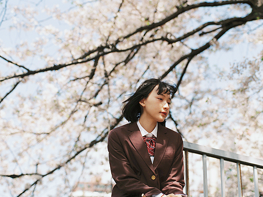 樱花抄