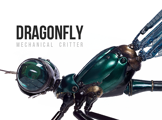 Microworld-Dragonfly