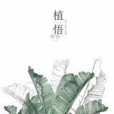 秋娘的头像