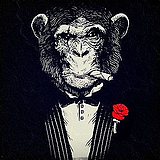 MonKey_L的头像