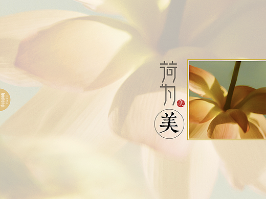 荷为美