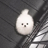 Liu_mmm的头像
