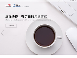 网站
