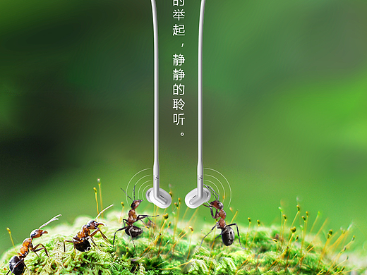 小鸟音箱海报设计