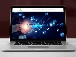 网站展示