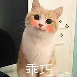 _XIAOXiao_的头像