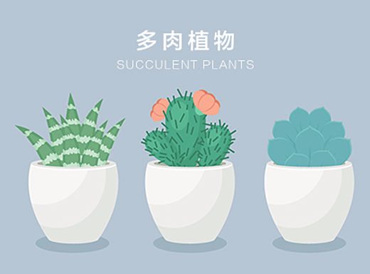 【AI教程】绘制可爱多肉植物
