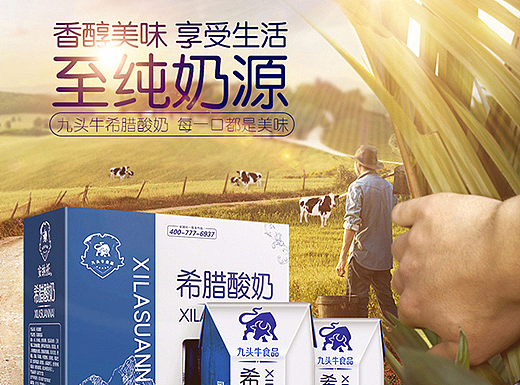 拼多多牛奶酸奶详情页