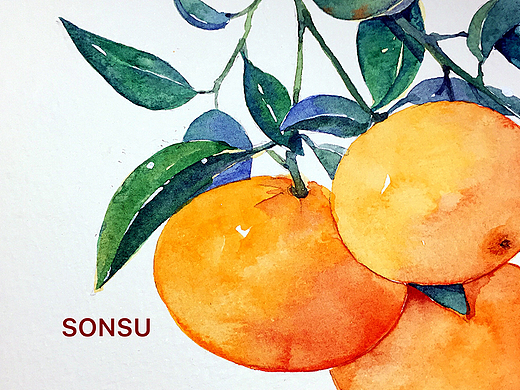 sonsu松鼠创作者主页_北京插画师-站酷zcool