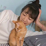 小鱼干77的头像