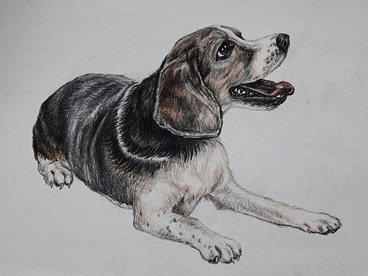 手绘（个人主页-ZMjMzNjU4MzI=） - 绘画 - 站酷设计师崔ly原创素材 - 站酷ZCOOL