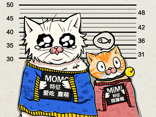 猫咪求寄养海报