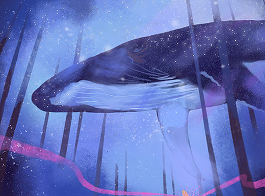 一锅炖不下。。。