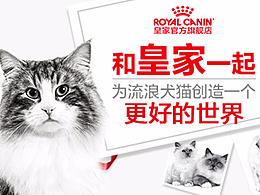 宠物产品