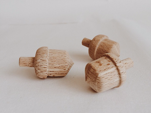 一颗有意思的橡果