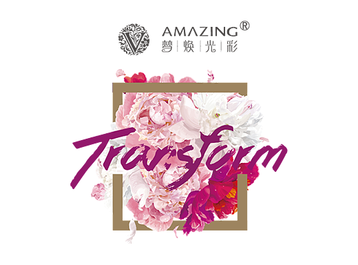 二零一四年化妆品品牌《梦幻光彩》视觉VI