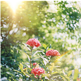 百变马丁的头像