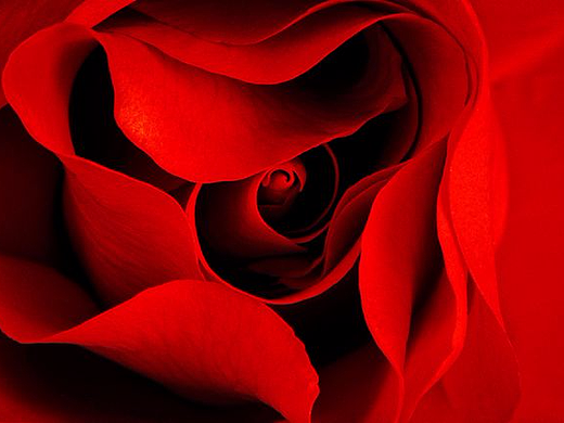 化妆品精修（个人主页-ZMjMwNzIwMzI=） - 海报 - 站酷设计师十七蚊纸原创素材 - 站酷ZCOOL