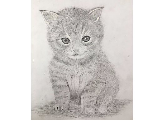 手绘小猫咪