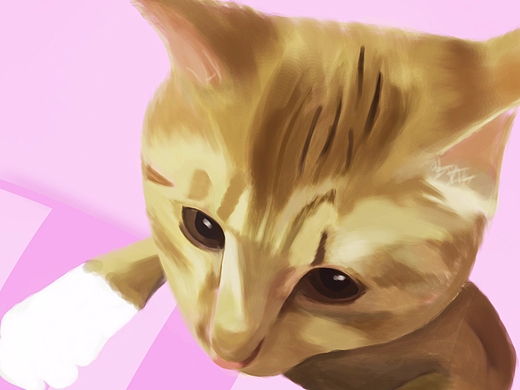 板绘 猫（个人主页-ZMjM0OTk1ODQ=） - 创作习作 - 站酷设计师MATAKI赵京晶原创素材 - 站酷ZCOOL