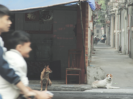 走过的风景（个人主页-ZMjMzNTQ2MzY=） - 风光摄影 - 站酷设计师尼桑1990原创素材 - 站酷ZCOOL