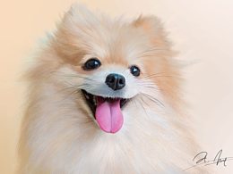 插画