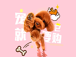 宠物网页设计