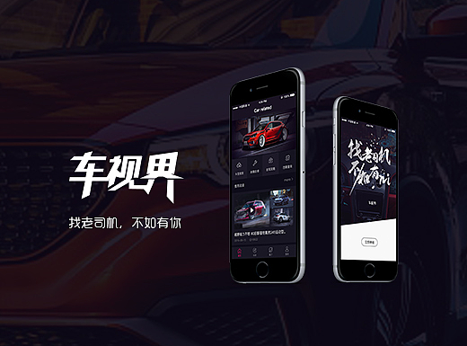 车视界
