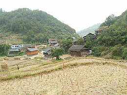 一體公道杯玻璃茶杯詳情頁