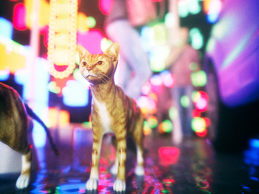 Cat-C4D OC PS（个人主页-ZMjI0OTIyMzI=） - 其他三维 - 站酷设计师lockeyang原创素材 - 站酷ZCOOL