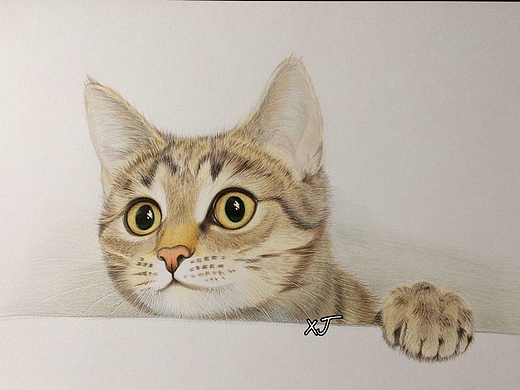 彩铅画