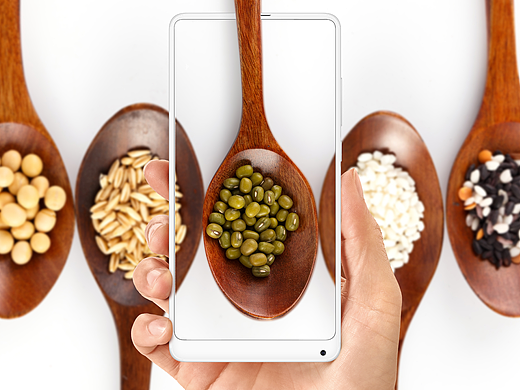 五谷杂粮（个人主页-ZMjUyNzI4Mjg=） - 海报 - 站酷设计师Cenizas原创素材 - 站酷ZCOOL