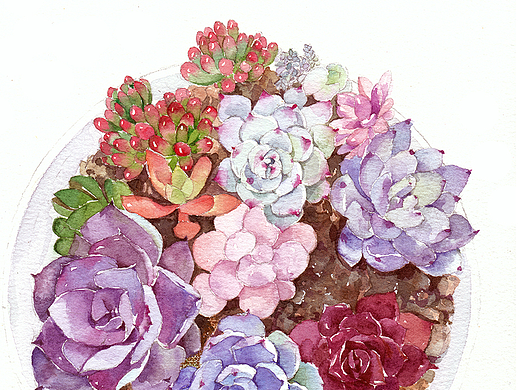 多肉（個(gè)人主頁(yè)-ZMjI5MzM1NDA=） - 商業(yè)插畫(huà) - 站酷設(shè)計(jì)師SONSU松鼠原創(chuàng)素材 - 站酷ZCOOL