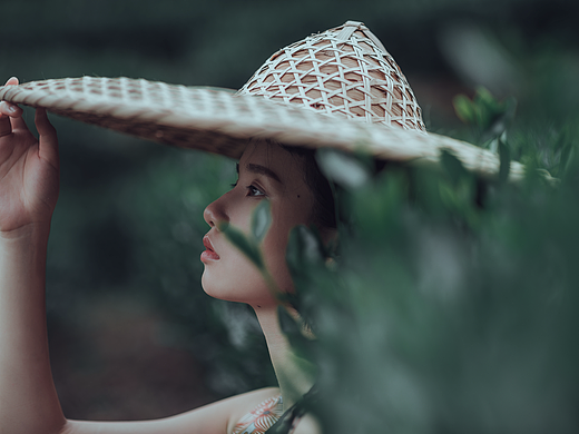 茶绿轻雨