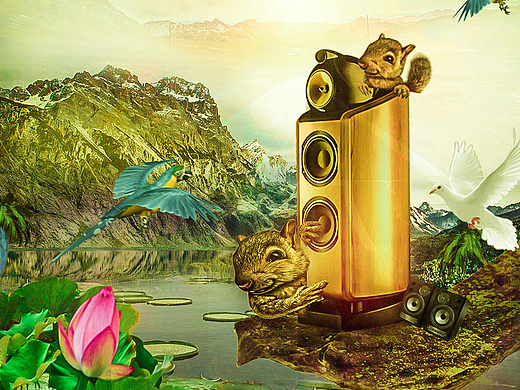 音乐与自然（个人主页-ZMjI5MjI1NDg=） - 其他 - 站酷设计师FushengJie原创素材 - 站酷ZCOOL