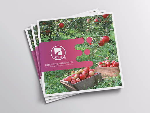 林果业宣传册概念稿